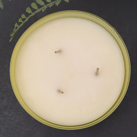 BBW Citron & Tonic White Barn Bath & Body Works 3 Wick Candle - Picture 7 of 10